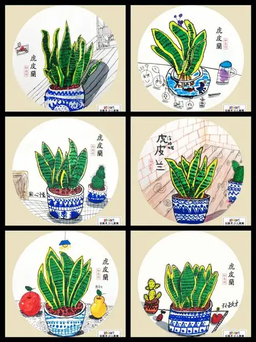 创意美术虎皮兰写生