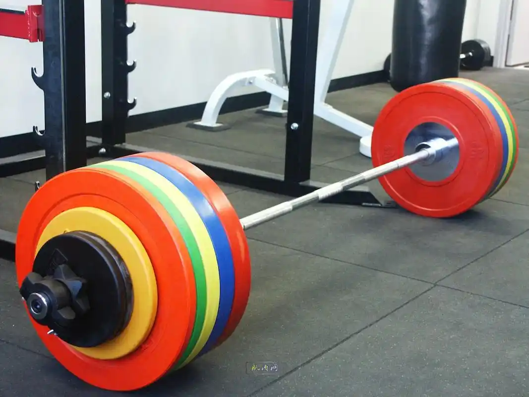 大开眼界 杠铃的种类有哪些