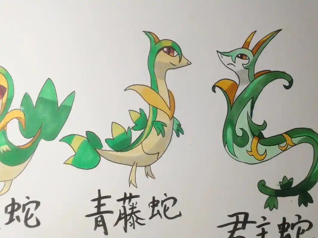 宝可梦 君主蛇进化组∽ 可爱藤藤蛇