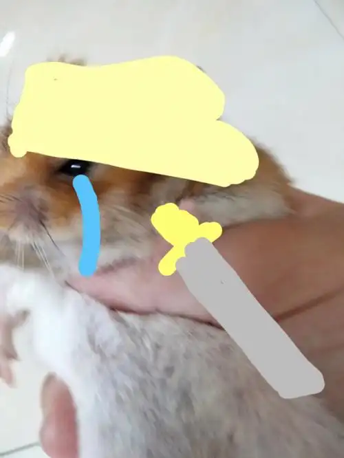 小馒头表情包合集1