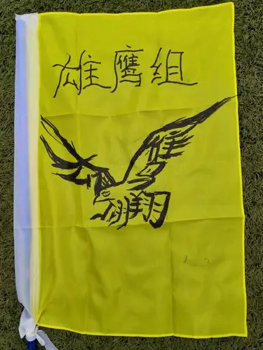 瞧!咱雄鹰队的队标漂亮不?
