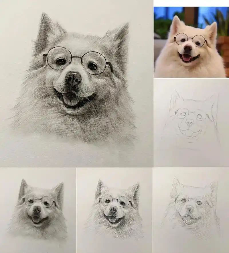 超有文化的小修狗步骤图来喽93 #素描动物 #素描狗狗 #跟 - 抖音