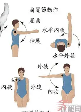 肩关节动作.png
