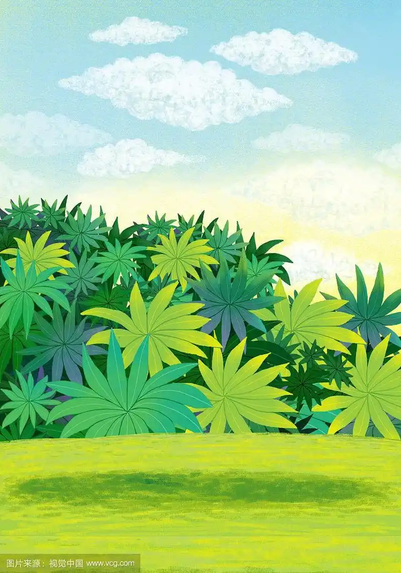 风景插画系列-绿色草地绿色灌木丛