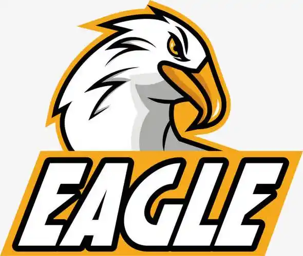 扁平雄鹰队徽