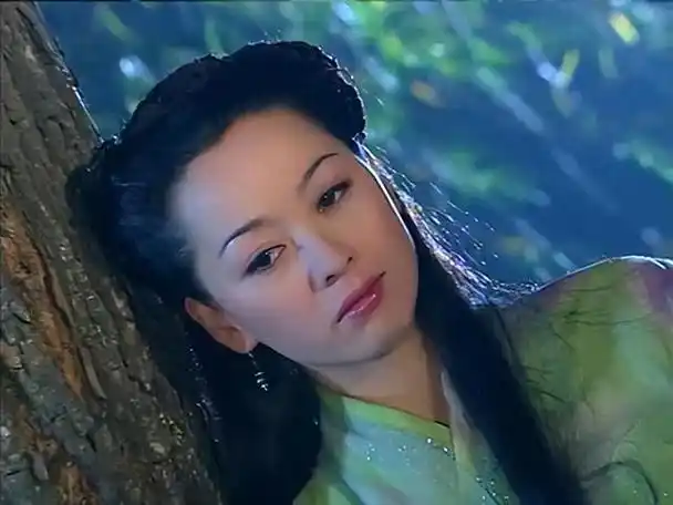 汉宣帝生母先作为歌舞女被卖后死于巫蛊之祸她家人待遇如何