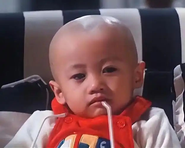 《最佳拍档》由张艾嘉,许冠杰和麦嘉主演的,电影中麦嘉和许冠杰这对