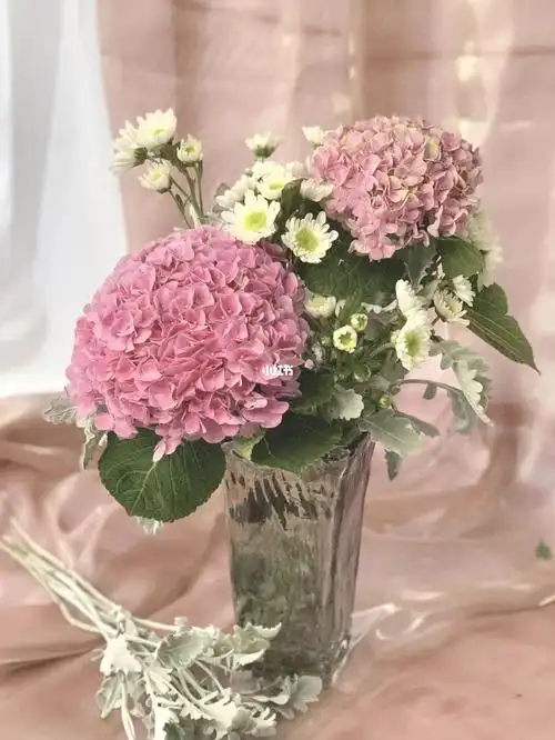 绣球插花_插花_杭州运河文化艺术中心攻略_艺术中心_家居家装_家居