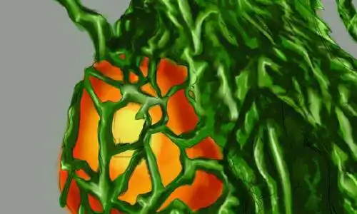 榨精怪兽娘第一号,碧奥兰蒂