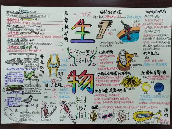 生物无脊椎动物手抄报四年级上册手抄报八上生物手抄报展示八上生物手