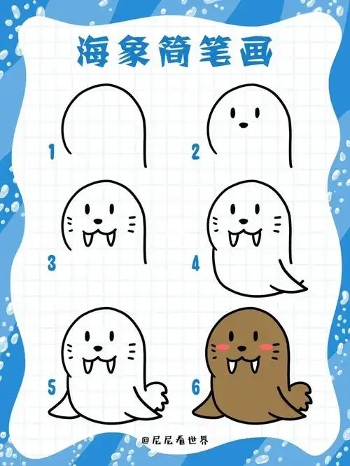 尼尼简笔画教程丨海象简笔画vol10