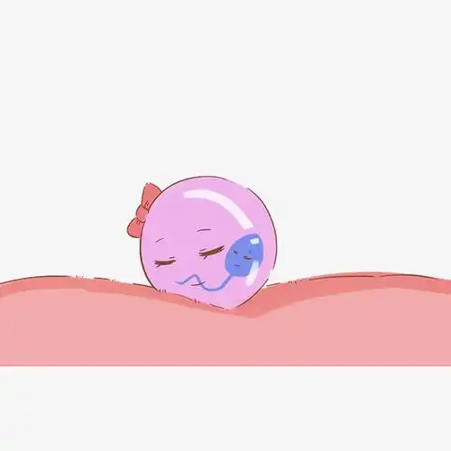 卡通受精卵插画