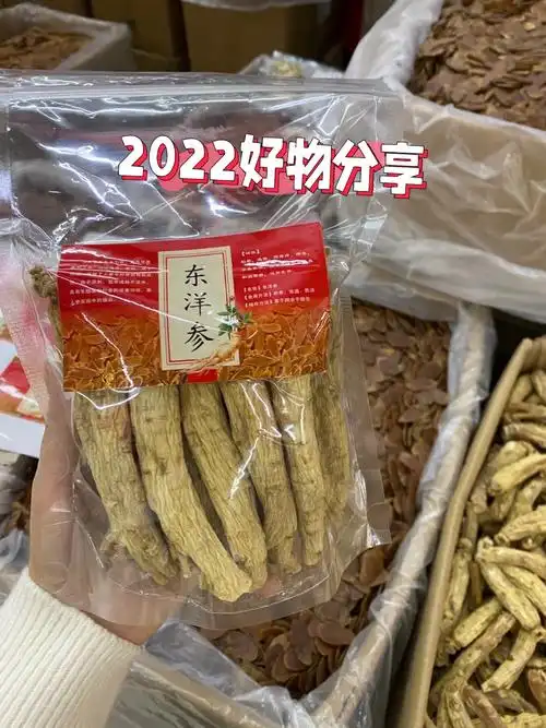 大力参又称东洋参20支