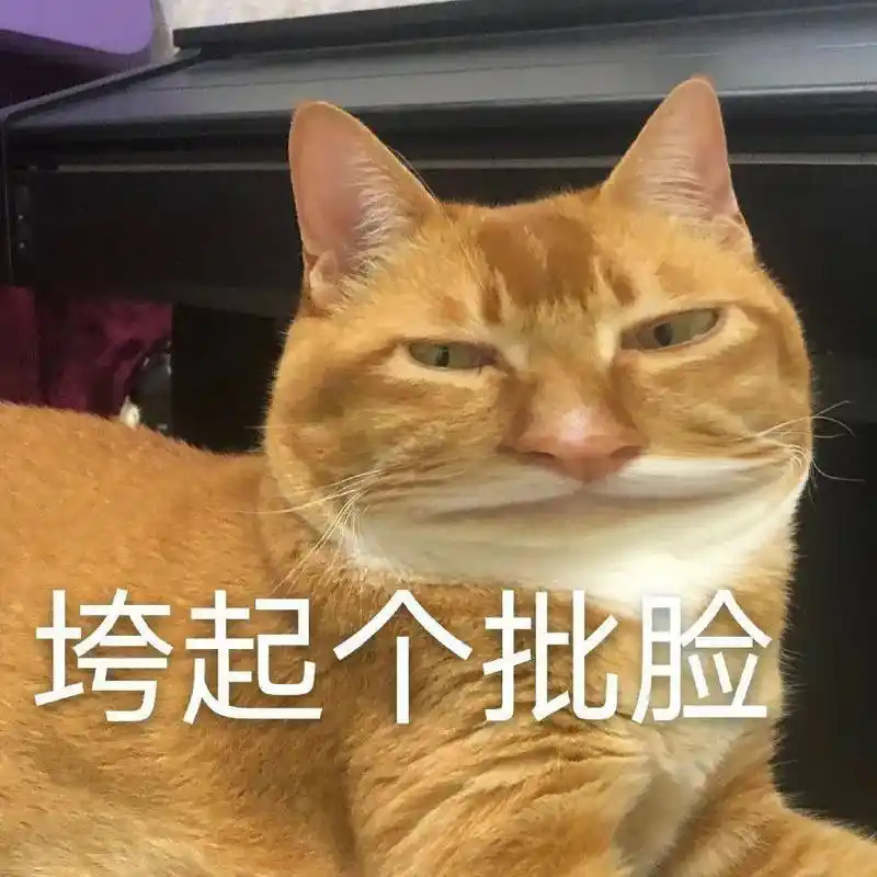 网红猫咪 | 沙雕猫咪敦敦表情包(四)