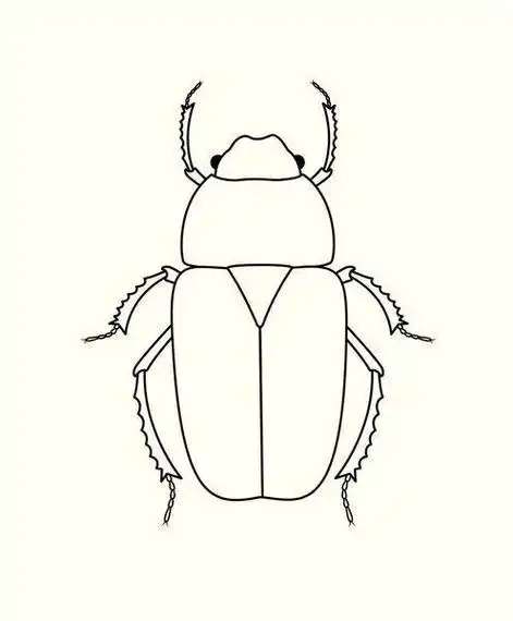 甲虫简笔画步骤