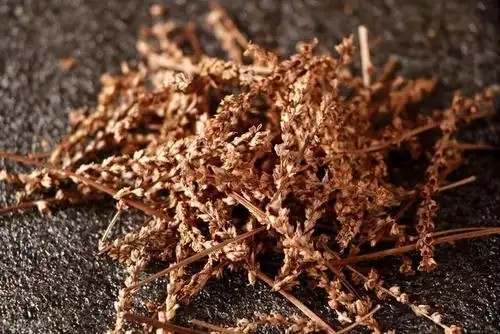 尿酸高,关节痛——痛风!车前草治疗?