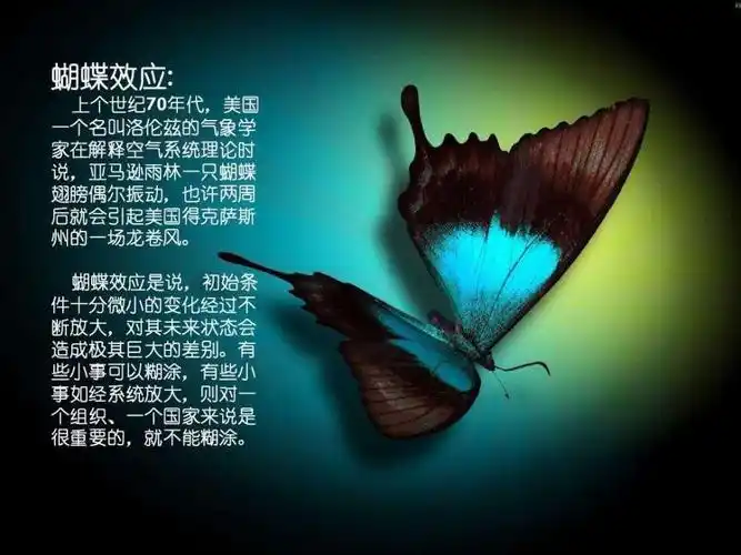 我们常听到的蝴蝶效应究竟是什么_腾讯新闻