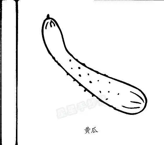 黄瓜简笔画简单画法