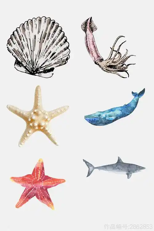 时尚海洋生物免抠素材