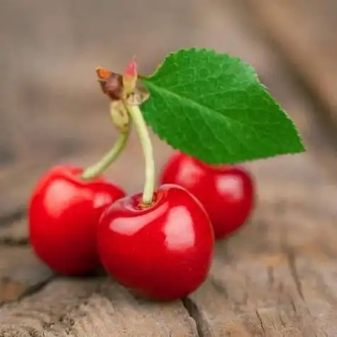 可爱水果头像500x500分辨率红樱桃