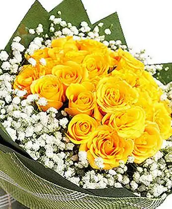 材料包装: 黄玫瑰20枝 满天星 黄莺 商品包装:绿色皱纹纸圆形包装