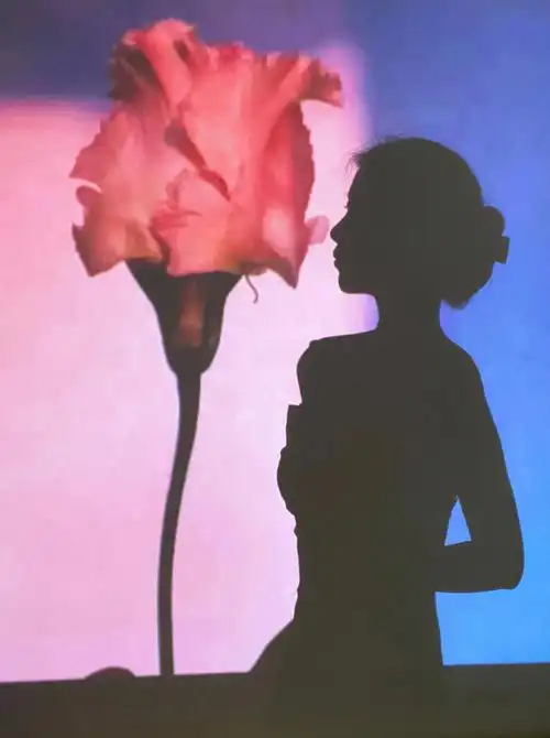 96只需要 一面白墙 ,一台投影仪,一个手机支架(人形支架也ok),有