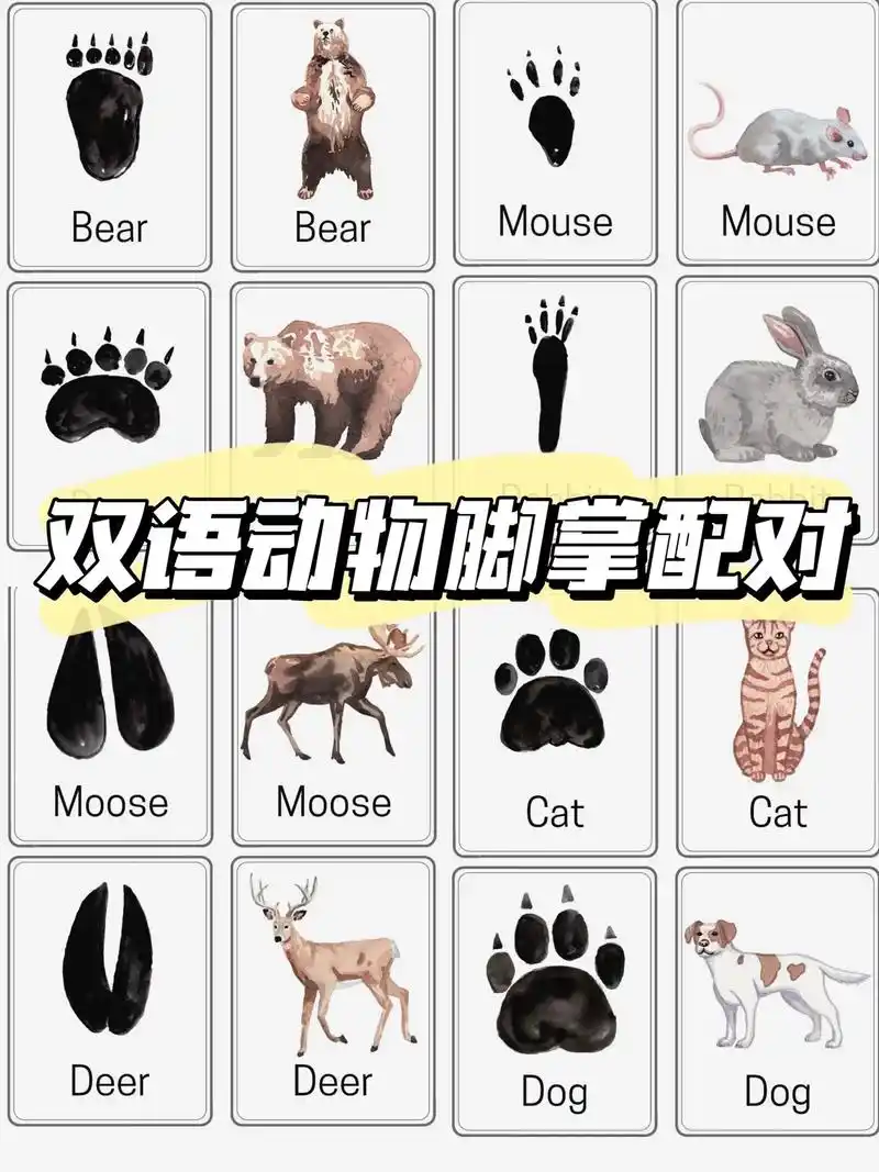 快来看|超可爱的双语动物脚印配对|专注力.可以打印出来陪宝宝 - 抖音