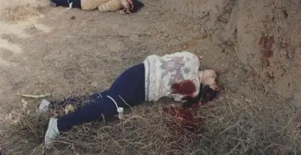 山西女杀人犯陆金凤的悲惨人生