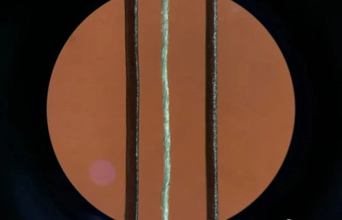 据说全球最细的纱线是700支?