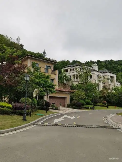 开元九龙湖畔(别墅)8室5厅6卫868㎡南北1198万