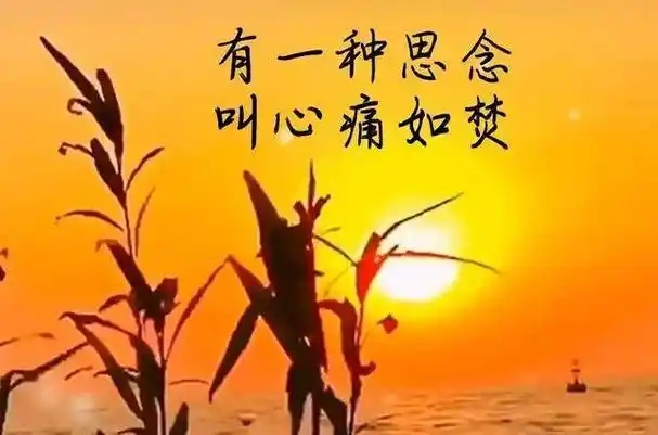 也思君坐也思君,你就像影子一样时刻跟随,思念中脑海里临摹着你的模样