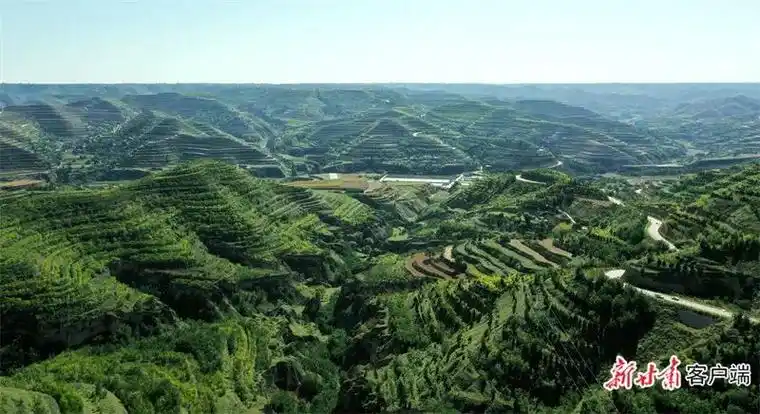 镇原县孟坝镇塬口村.新甘肃·甘肃日报通讯员 田永昭