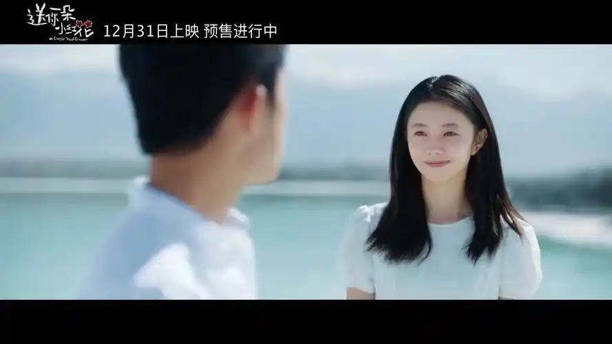 赵英俊《送你一朵小红花》电影推广曲mv《花》