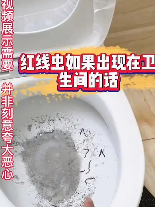 如果你家卫生间出现红线虫,那要注意了