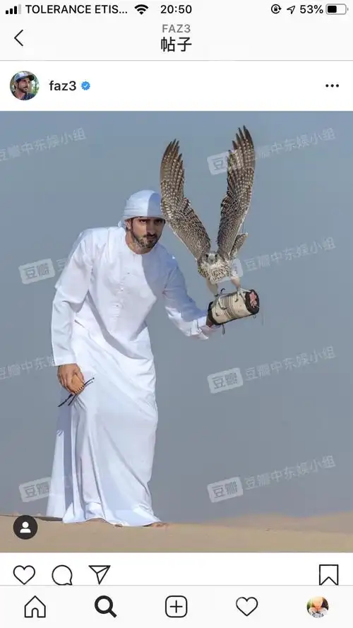 中东最帅的王子哈姆丹阿联酋迪拜