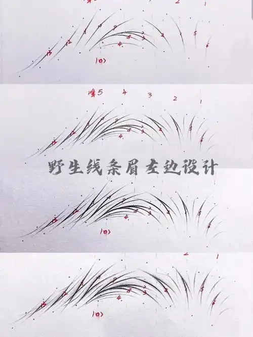 野生线条眉左边设计步骤