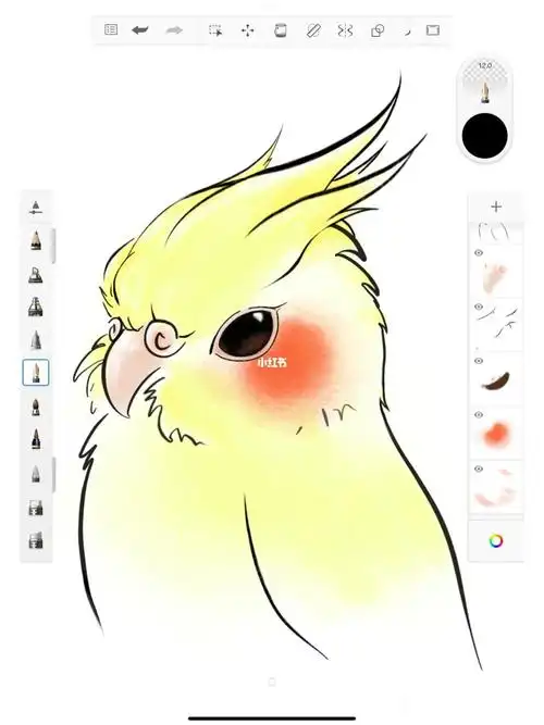 慢慢探索sketchbook 的功能     #玄凤鹦鹉  #sketchbook #手绘头像