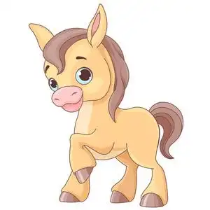 可爱的小马驹图片