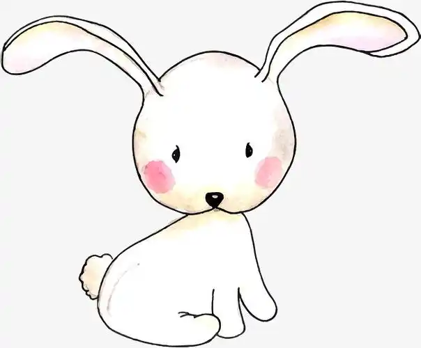 白色兔子卡通插画