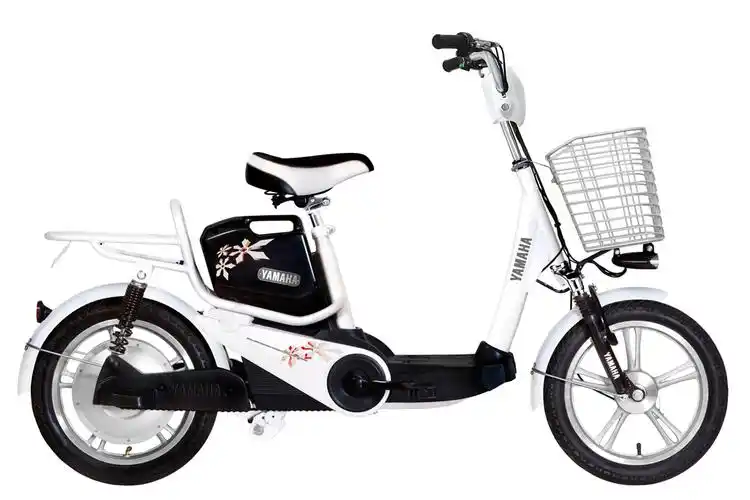 data-lemmaid="1257125">电动车 /a>,是世界上最早销售电动辅助 a