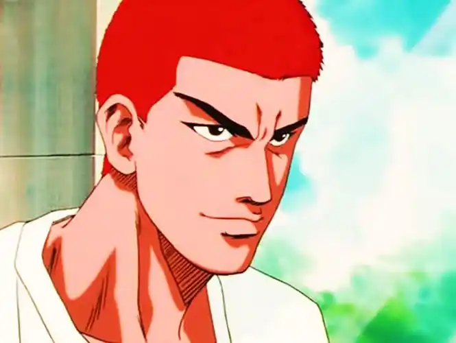 萌萌的天才樱木