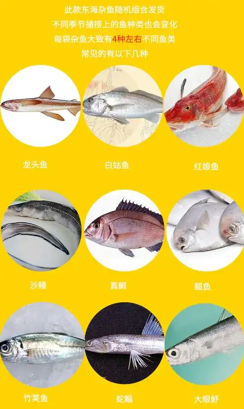 杂鱼适合去腮去脏处理后一锅炖,各种海鱼的味道相互融合,更是