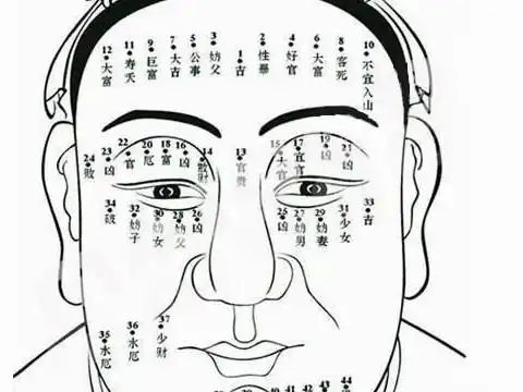 眉毛痣图解男人眉毛痣的位置与命运