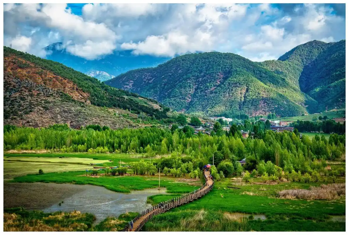 《走婚桥》走婚桥横跨草海,连接两岸村落,也是泸沽湖上唯一的一座桥.