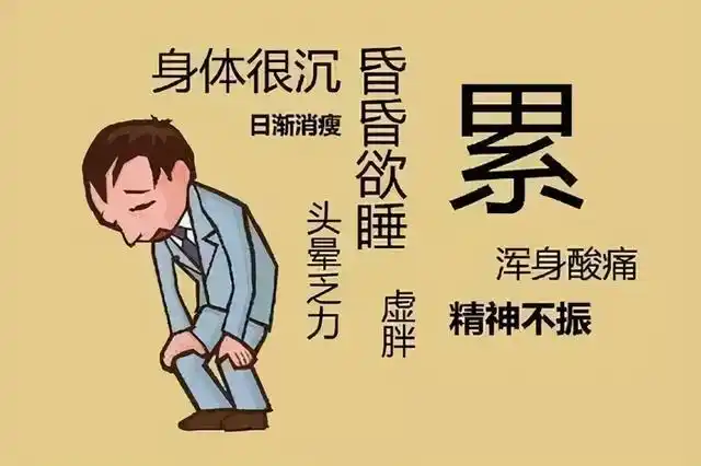 身体疲累,压力大?打工人也该补补啦_手机搜狐网