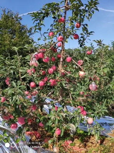 一个人——爬山