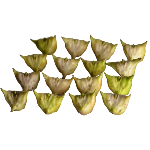 菱角四角苏北溱湖新鲜带壳野生农家香凌角棱角菱角