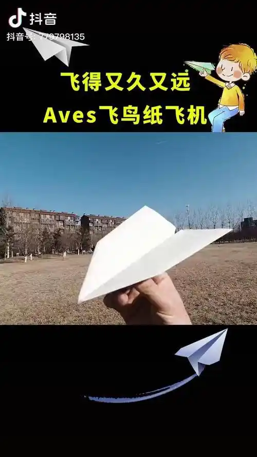飞得很久很远的aves飞鸟纸飞机纸飞机折纸手工