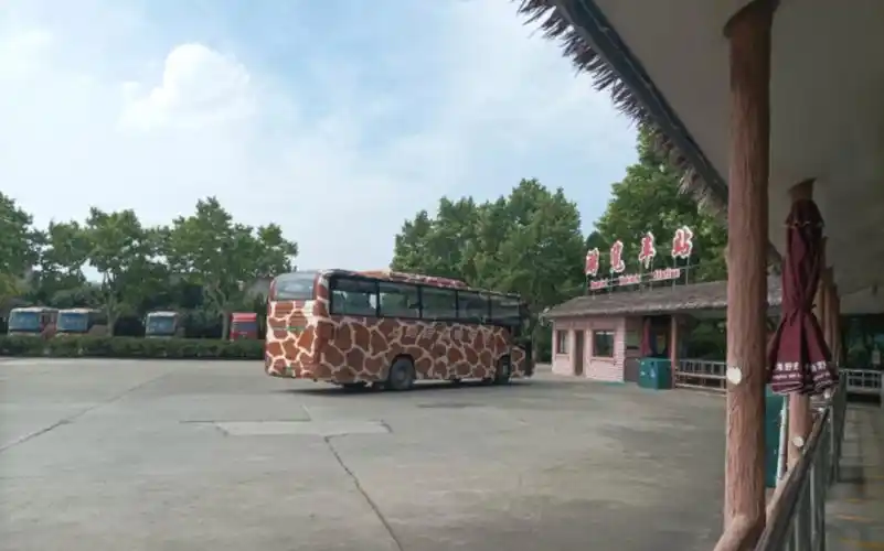 上海野生动物园观光车暑期游览
