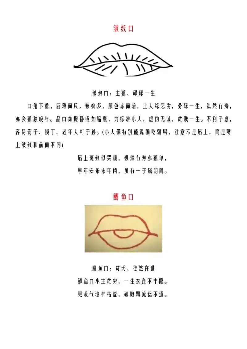 国学文化 #面相 #识人术 #口 #倪海厦 - 抖音